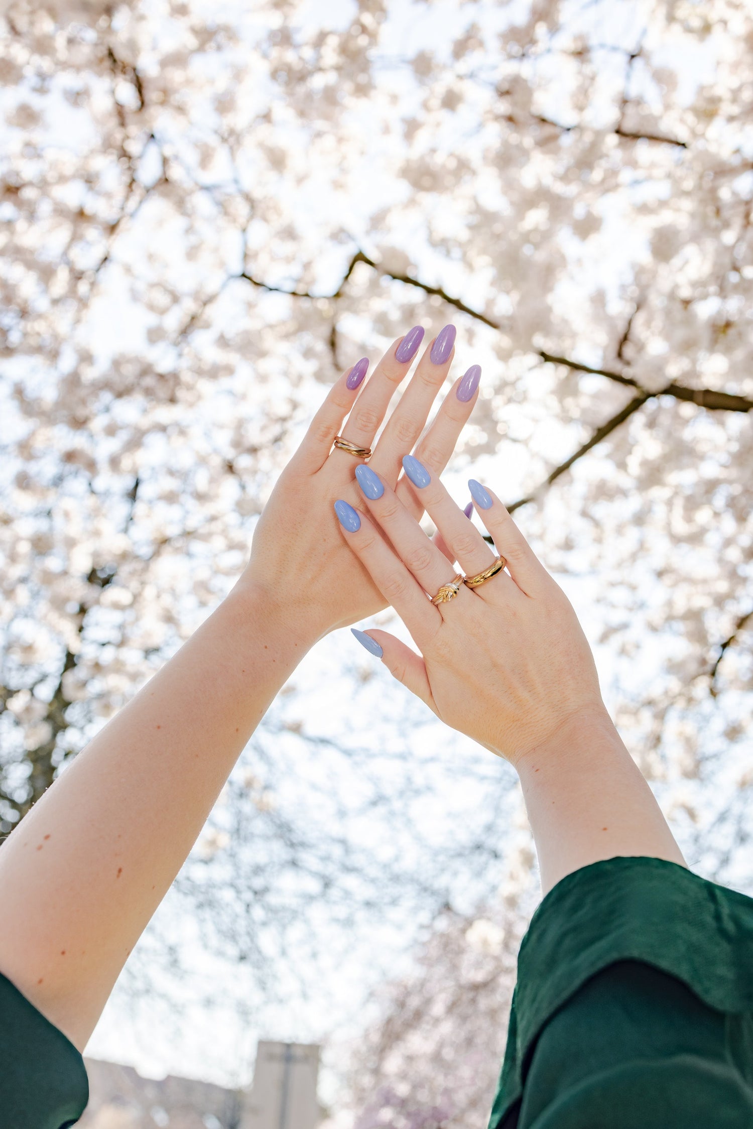 New Colors Collection