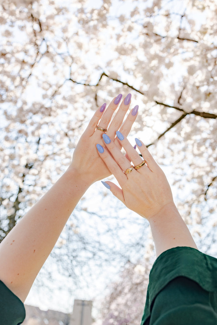 New Colors Collection